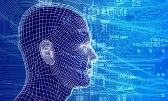 從小白到大數據人工智能專家的進階之路 聚焦基礎軟件開發